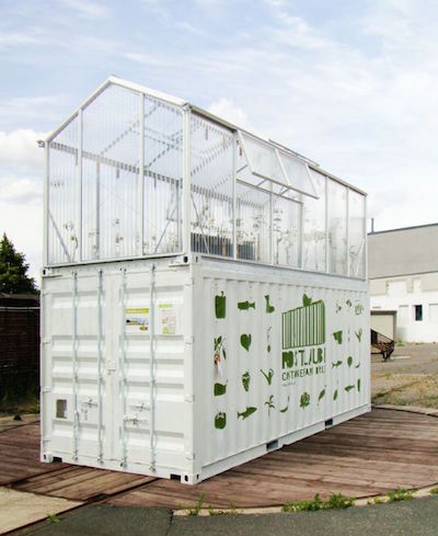 ShippingContainerGreenhouse